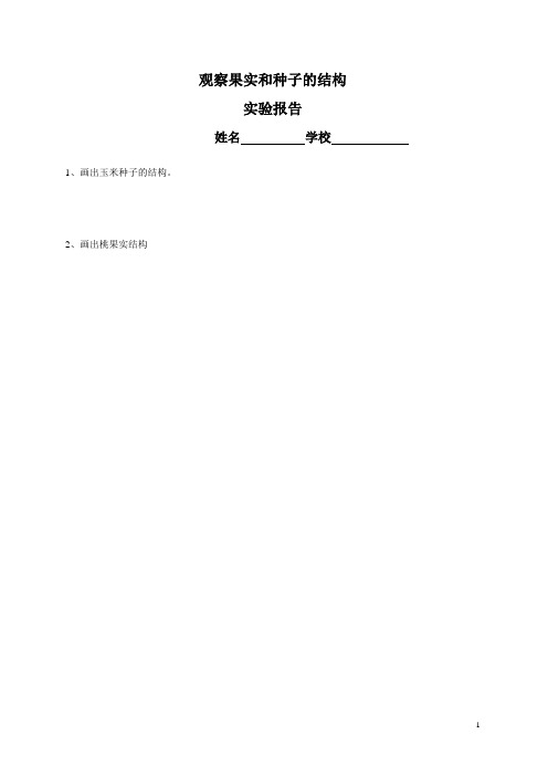观察果实和种子的结构