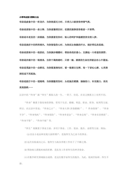 小学毕业复习资料大全