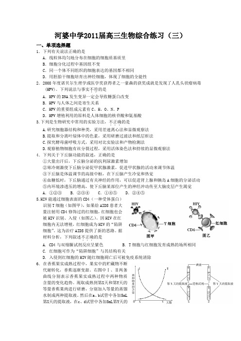 河婆中学2011届高三生物综合练习(三)