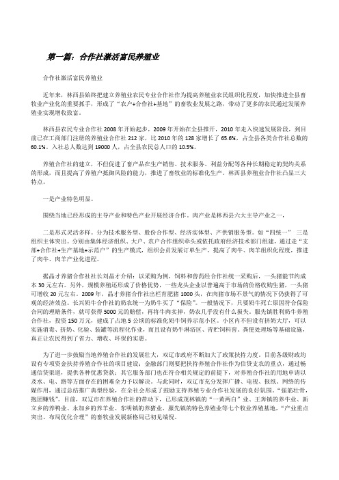 合作社激活富民养殖业[修改版]