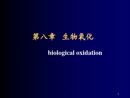 第八章-生物氧化PPT课件