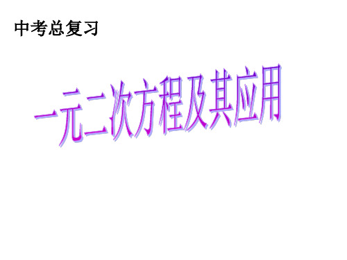 北师大版九年级上册数学一元二次方程回顾与思考课件