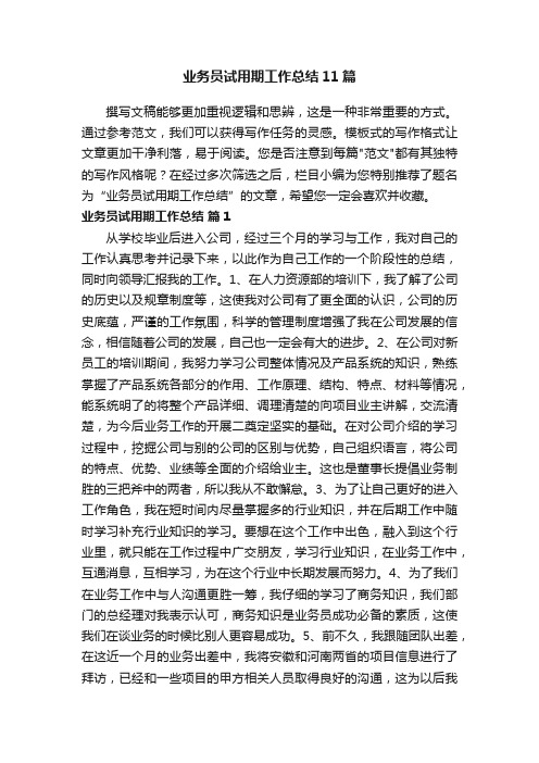 业务员试用期工作总结11篇