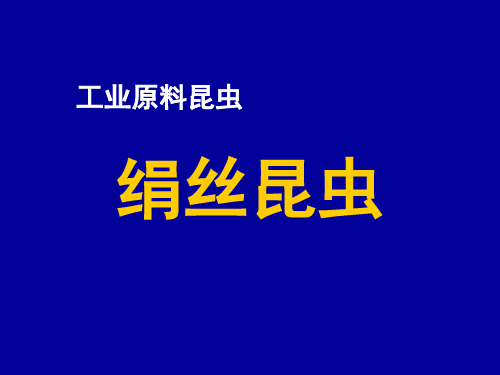 工业原料昆虫(绢丝昆虫)