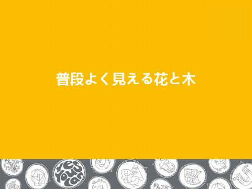 介绍常见花草日文名