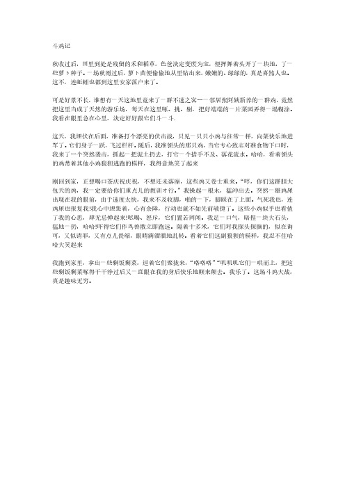 小学生作文——斗鸡记