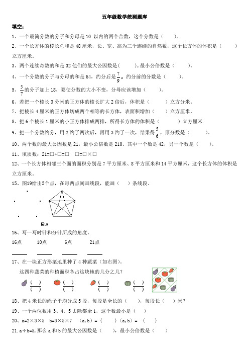 五年级综合练习题库