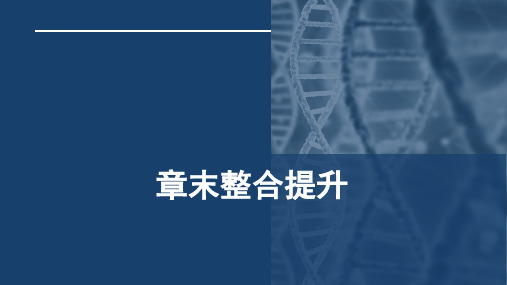 第5章细胞的能量供应和利用章末整合提升-2024-2025学年高一生物必修一(人教版)教学课件