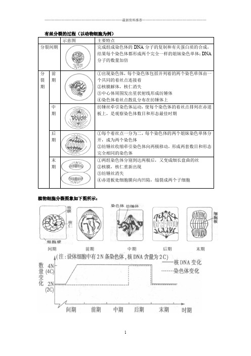 有丝分裂和减数分裂的过程和图像精编版