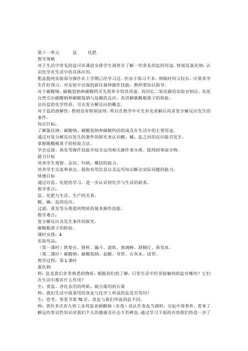 人教版九年级化学第十一单元教案