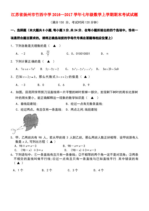 江苏省扬州市竹西中学七年级数学上学期期末考试试题新人教版(new)