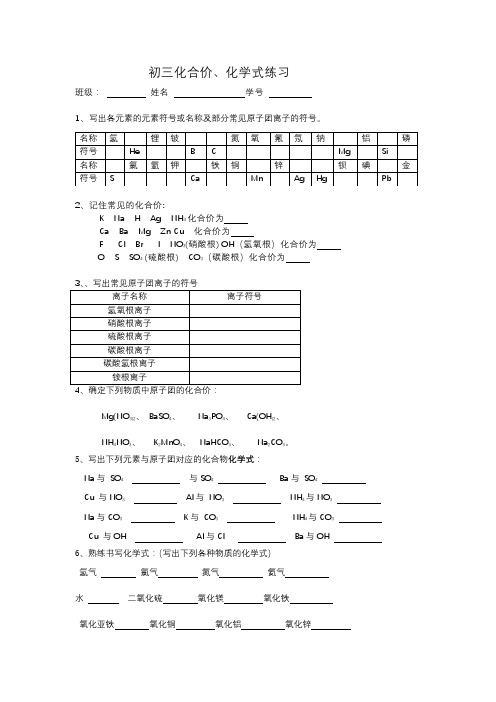初三化合价、化学式练习