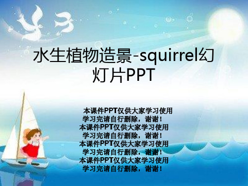 水生植物造景-squirrel幻灯片PPT