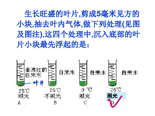 浙科版生物必修一高一细胞增殖(共38张PPT)