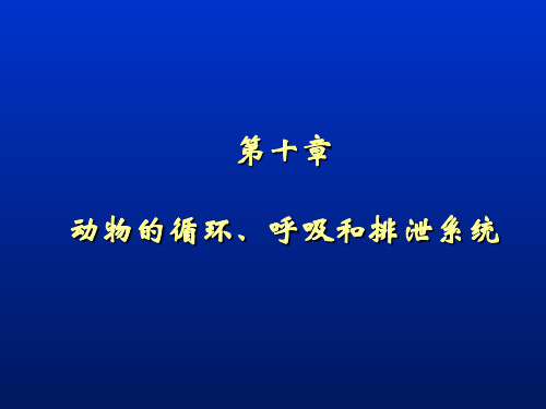 4第十章动物的循环、呼吸和排泄系统