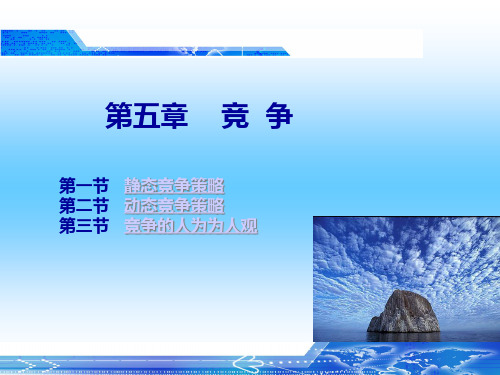 产业经济学视角下的动态竞争与静态竞争课件