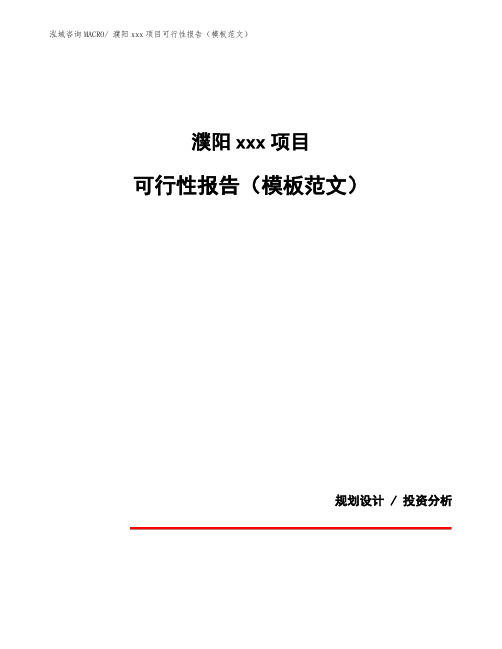 濮阳项目可行性报告(模板范文)