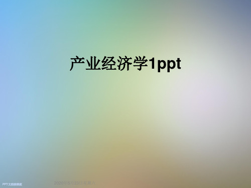 产业经济学1ppt