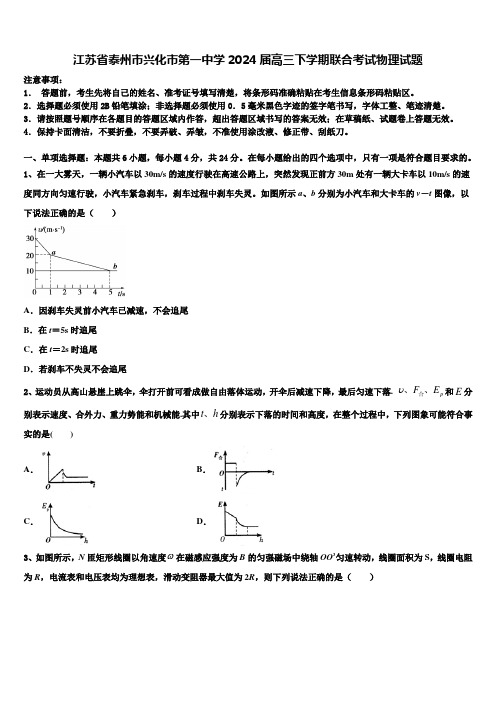 江苏省泰州市兴化市第一中学2024届高三下学期联合考试物理试题含解析