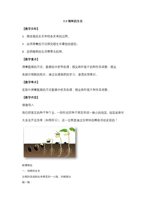 鲁科五四制版生物六年级下册植株的生长 教案