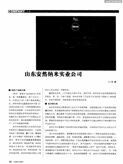 山东安然纳米实业公司