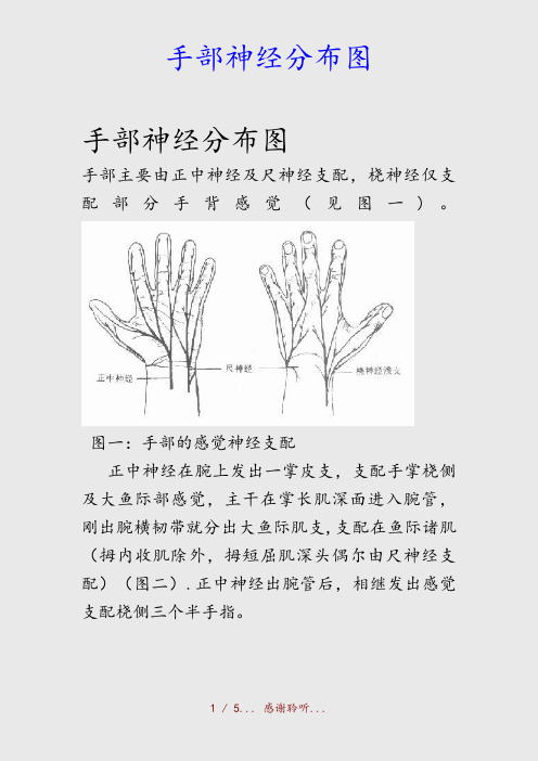 最新手部神经分布图(精品收藏)