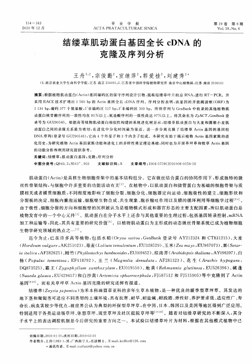 结缕草肌动蛋白基因全长cDNA的克隆及序列分析