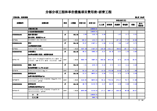 分部分项工程和单价措施项目费用表-沥青工程