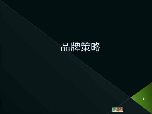 品牌策略02-39页PPT精选文档