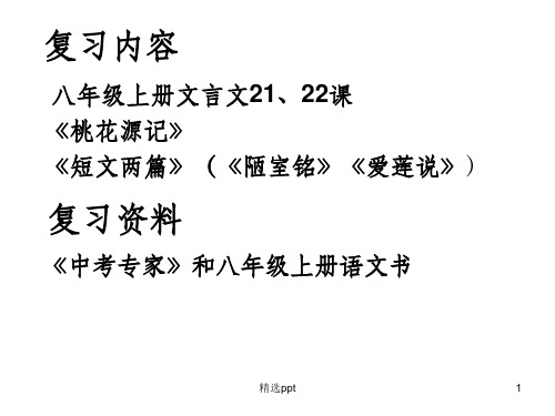 读准字音认准字形