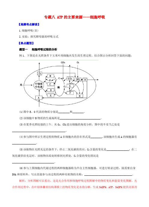 高考生物 热点题型和提分秘籍 专题08 ATP的主要来源-细胞呼吸(解析版)