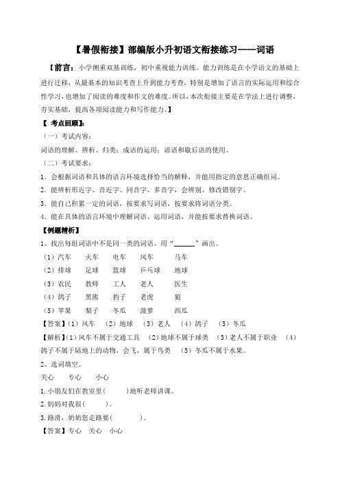 人教部编版小学六年级小升初语文衔接暑假练习：词语(一)(含答案,含解析)