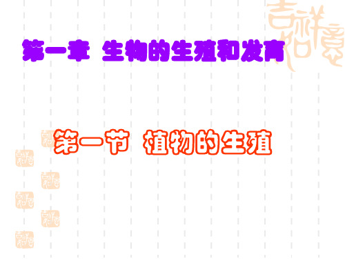 人教版生物八年级下册7.1.1植物的生殖 课件 