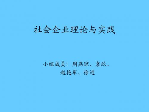 社会企业探讨与分析