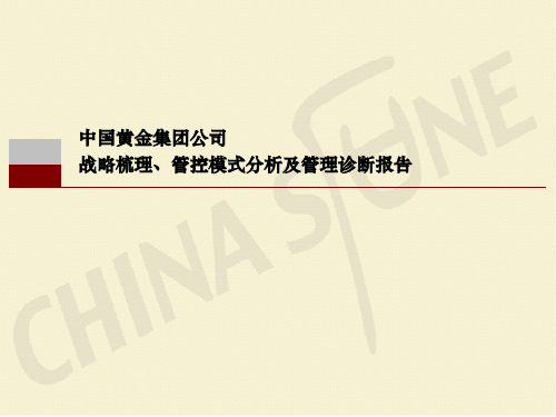 某央企战略梳理、管控模式分析及管理诊断报告(最终版)