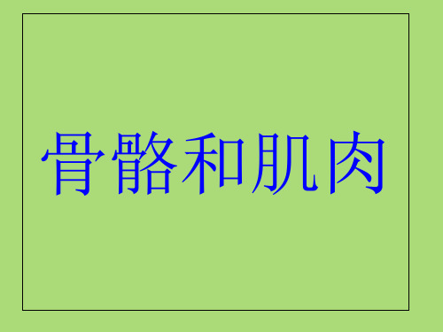 《骨骼》PPT完美课件苏教版科学3