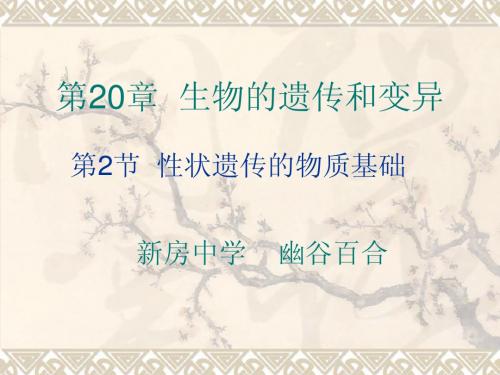 八年级生物北师大版20.2性状遗传的物质基础上课版