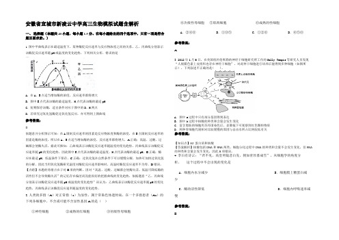 安徽省宣城市新凌云中学高三生物模拟试题含解析