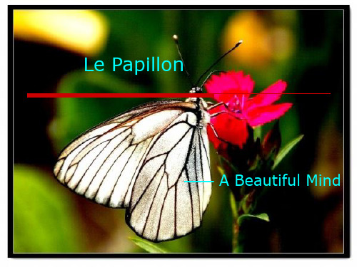 法国电影《蝴蝶》英文版_PPT__《Le_Papillon》