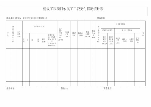 建设工程项目农民工工资支付情况统计表