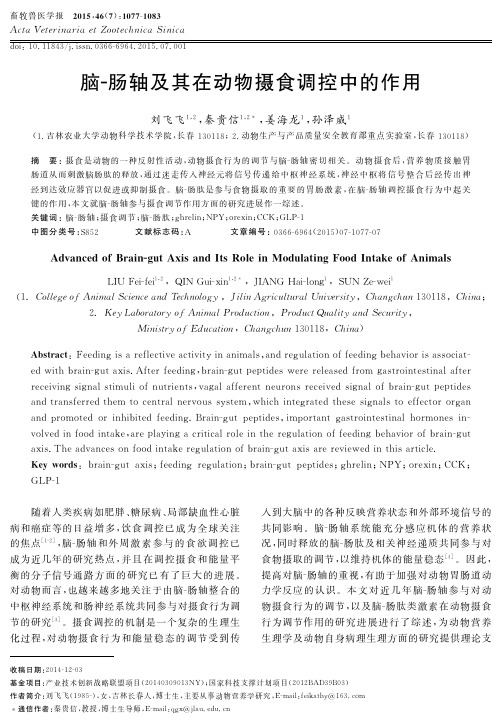 脑-肠轴及其在动物摄食调控中的作用