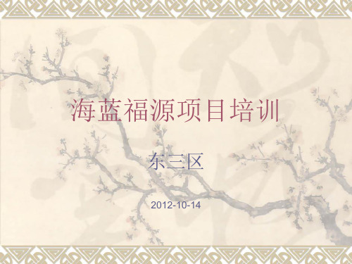 海南海蓝福源东三区项目介绍