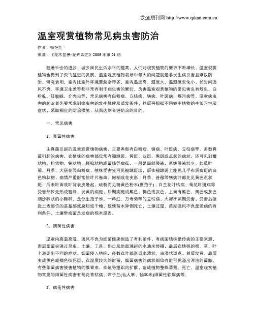 温室观赏植物常见病虫害防治