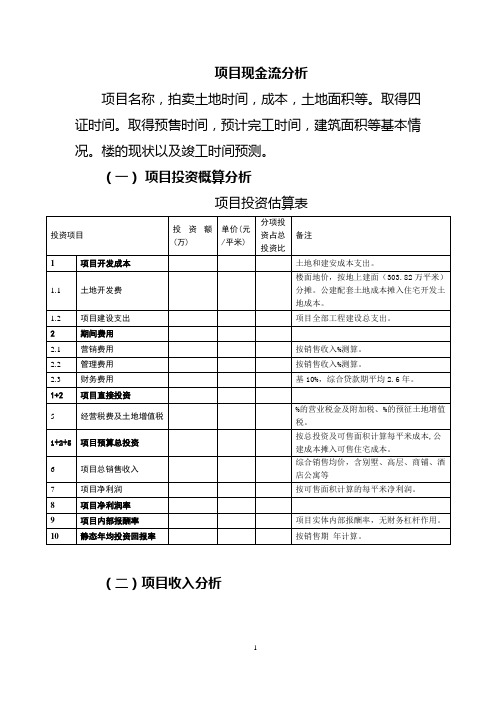 项目现金流分析模板