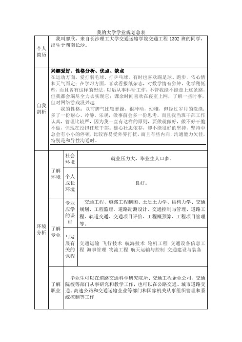 我的大学学业规划总表