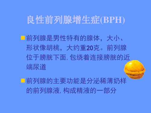 前列腺增生PPT课件