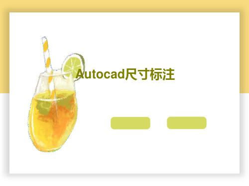 Autocad尺寸标注共19页文档