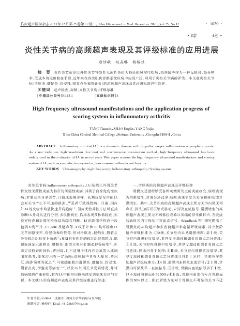 炎性关节病的高频超声表现及其评级标准的应用进展