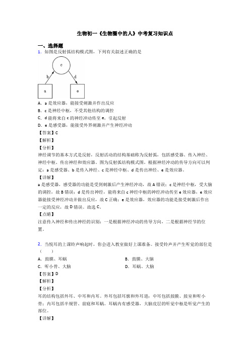 生物初一《生物圈中的人》中考复习知识点