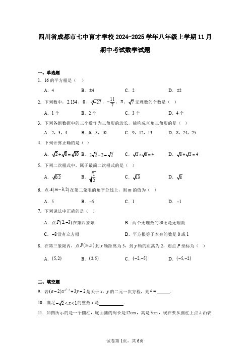 四川省成都市七中育才学校2024-2025学年八年级上学期11月期中考试数学试题